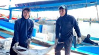 Tàu cá Quảng Ngãi bội thu hải sản, ngư dân phấn khởi sau chuyến biển xa