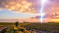 Hai người tử vong do sét đánh khi đang làm rẫy keo