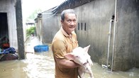 Mưa lớn gây ngập nhiều khu dân cư ở Quảng Ngãi