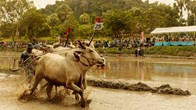 “Trại buôn người” cán mốc 300 tỉ, lọt Top 8 phim Việt doanh thu cao nhất