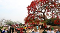 Miền Tây Bắc tưng bừng vui