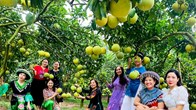 Phát triển du lịch nông thôn gắn với cây ăn quả chủ lực