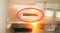 Để quên điện thoại trong tủ lạnh có sao không? Nhà sản xuất đưa đáp án