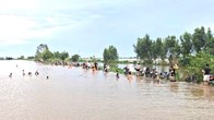 Về Đồng Tháp trải nghiệm mùa nước nổi với “Hồng Ngự - Sắc nước vùng biên”