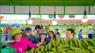 Sắp diễn ra Lễ hội trái cây Nam Bộ lần thứ 22