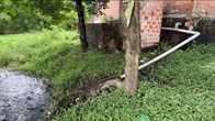 Trang trại heo bị phản ánh ô nhiễm: Kiểm tra phát hiện nhiều tồn tại