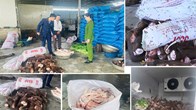 Thanh Hóa phát hiện gần 6 tấn xương, chân trâu bò bốc mùi chuẩn bị đưa ra quán ăn