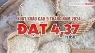 (Infographic) Xuất khẩu gạo 9 tháng năm 2024 đạt 4,37 tỉ USD