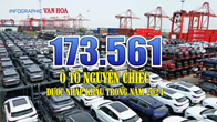 (Infographic) 173.561 ô tô nguyên chiếc được nhập khẩu trong năm 2024
