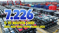 (Infographic) 7.226 ô tô nguyên chiếc được nhập khẩu trong tháng 1.2025