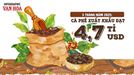 (Infographic) 5 tháng năm 2025: Cà phê xuất khẩu đạt 4,7 tỉ USD