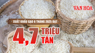 (Infographic) Xuất khẩu gạo 6 tháng năm 2025 đạt 4,7 triệu tấn
