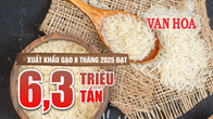 (Infographic) Xuất khẩu gạo Việt Nam 8 tháng 2025: Lượng tăng, giá trị giảm