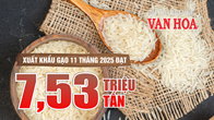 (Infographic) 11 tháng 2025: Xuất khẩu gạo giảm sâu, kim ngạch lao dốc 27,4%