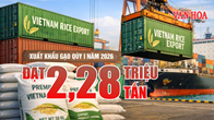 Xuất khẩu gạo quý I.2026 đạt 2,28 triệu tấn nhưng giá giảm mạnh, kim ngạch sụt giảm
