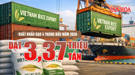 Xuất khẩu gạo 4 tháng đầu năm 2026 đạt 3,37 triệu tấn, thu về 1,58 tỉ USD