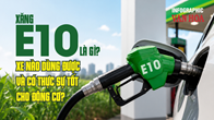 Xăng E10 là gì? Xe nào dùng được và có thực sự tốt cho động cơ?