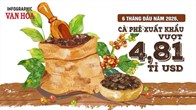 Xuất khẩu cà phê 6 tháng đầu năm 2026 vượt 4,81 tỉ USD