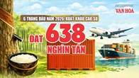Xuất khẩu cao su 6 tháng đạt 1,22 tỉ USD, thị trường Trung Quốc dẫn đầu