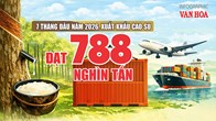 Xuất khẩu cao su 7 tháng đầu năm 2026: Gần 1,55 tỉ USD, Trung Quốc dẫn đầu