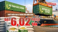 Xuất khẩu gạo 8 tháng đạt 6,02 triệu tấn, thu 2,9 tỉ USD