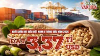 Xuất khẩu hạt điều đạt 3,37 tỉ USD dù lượng giảm 0,9%