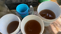 Hàng trăm hộ dân “gánh” thêm chi phí vì nước nhiễm phèn