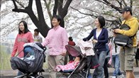  Nghịch lý đáng lo ngại