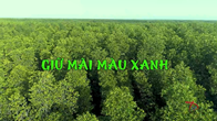 Giữ mãi màu xanh