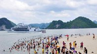 Khuyến cáo sứa lửa độc gây bỏng rát tại các bãi tắm ở Quảng Ninh