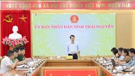 Thái Nguyên gắn chương trình nghệ thuật quốc gia với Festival Trà 2026