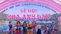 Sắc thắm hoa anh đào Mường Phăng níu chân du khách