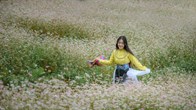Lũng Cú sẵn sàng đón du khách mùa hoa tam giác mạch