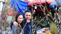 Người Hà Nội “chơi Tết sớm” với hoa mộc lan 
