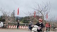 Chợ hoa đào nơi sườn đèo Ô Quy Hồ