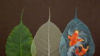 Biến lá bồ đề thành tác phẩm nghệ thuật giá trị