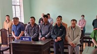 Gia Lai: Xét xử 8 bị cáo liên quan sai phạm trong quản lý, bảo vệ rừng