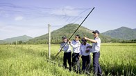 Khánh Hòa: Kiến nghị đưa chim yến vào danh mục “Động vật cần bảo tồn” 