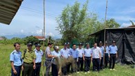 Khánh Hòa: Tình trạng bẫy chim trời vẫn hoành hành 