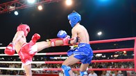 Trên 400 trưởng đoàn, võ sư, HLV, VĐV tham gia giải kickboxing ở Gia Lai