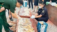 Gần 1,2 tấn ngà voi: Người tiêu dùng và trách nhiệm với động vật hoang dã