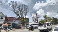 Lâm Đồng: Người dân thấp thỏm vì hàng cây giữa phố chết khô nhiều tháng vẫn chưa được cưa hạ