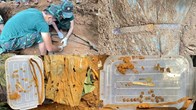 Đà Nẵng: Phát hiện hài cốt liệt sĩ cùng nhiều di vật tại xã Trà Giáp
