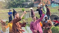Du khách hào hứng lội ruộng, xuống đồng cấy lúa cùng nông dân 