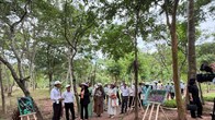 Mỹ Sơn tìm hướng phát triển di sản trong một hệ sinh thái xanh