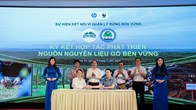 Trồng rừng bền vững để nâng giá trị cho những cánh rừng