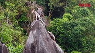 Chạm mặt đàn Voọc giữa rừng