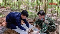 Quảng Trị liên tiếp phát hiện, quy tập hài cốt liệt sĩ