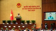 Trình Quốc hội dự án Bộ luật Hình sự (sửa đổi)
