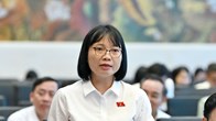 ĐBQH: Mọi thay đổi trong cơ chế giá điện cần được xem xét hết sức thận trọng